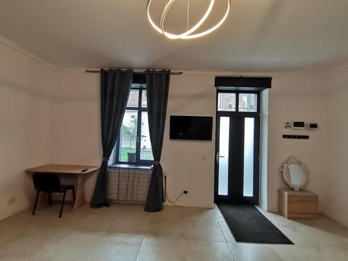 Ferienwohnung Casa J. Gusbeth Brașov Exterior foto
